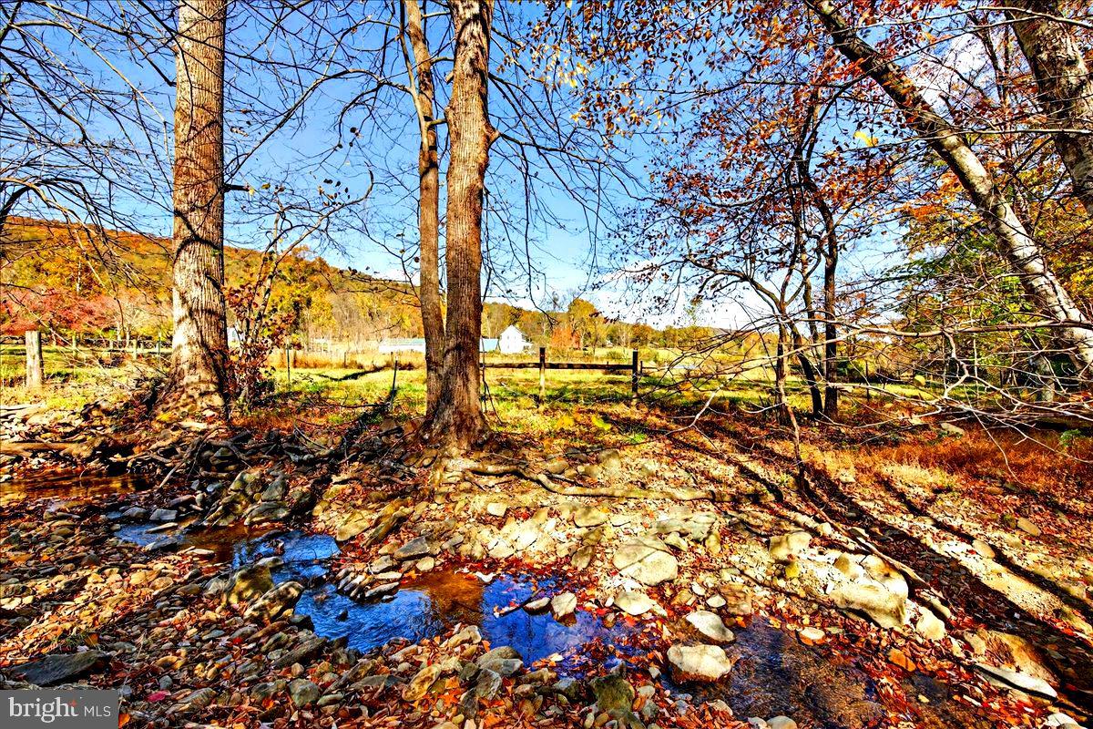 290 Riley Hollow Road Huntly, VA 22640 - Photo 141 of 148