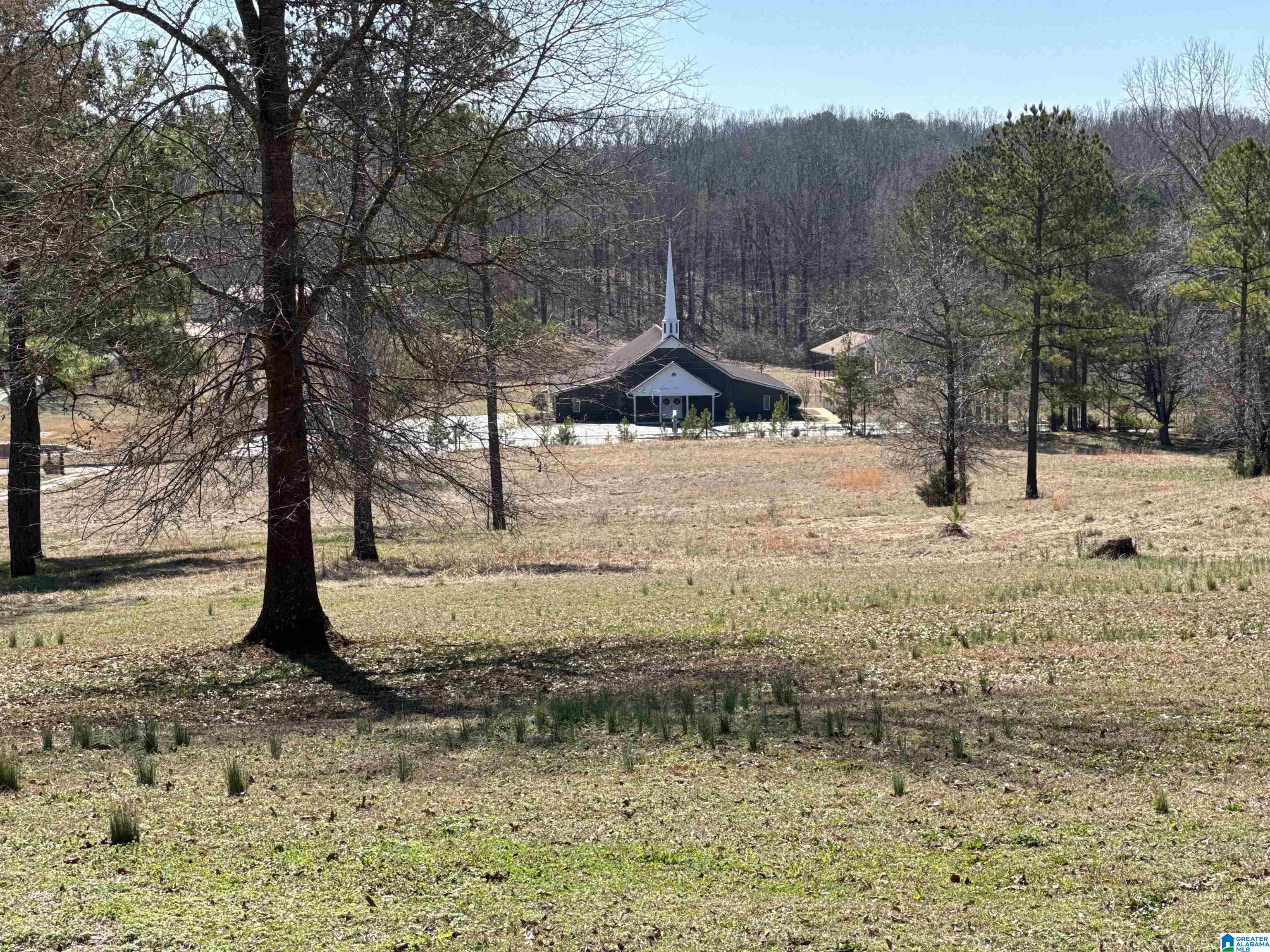 285 Whitson Road Talladega, AL 35160 - Photo 61 of 92
