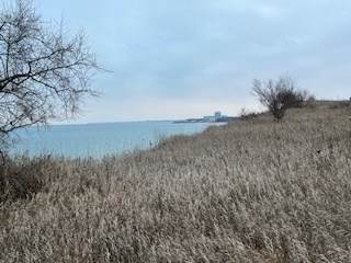 Tbd Lakeview Drive Kewaunee, WI 54216 - Photo 4 of 12