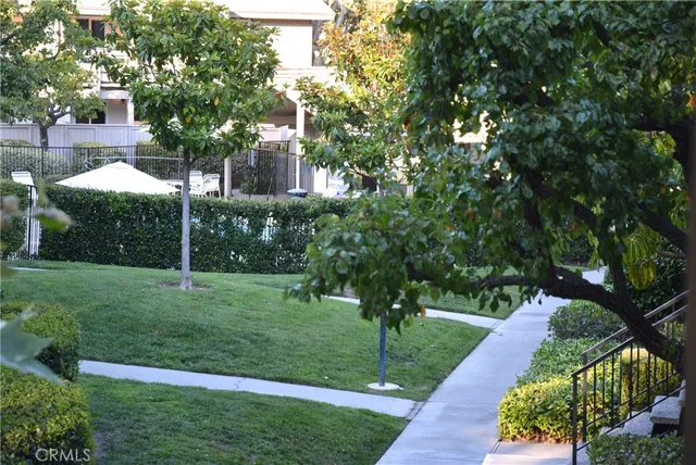 a view of a garden with a bench under an umbrella
