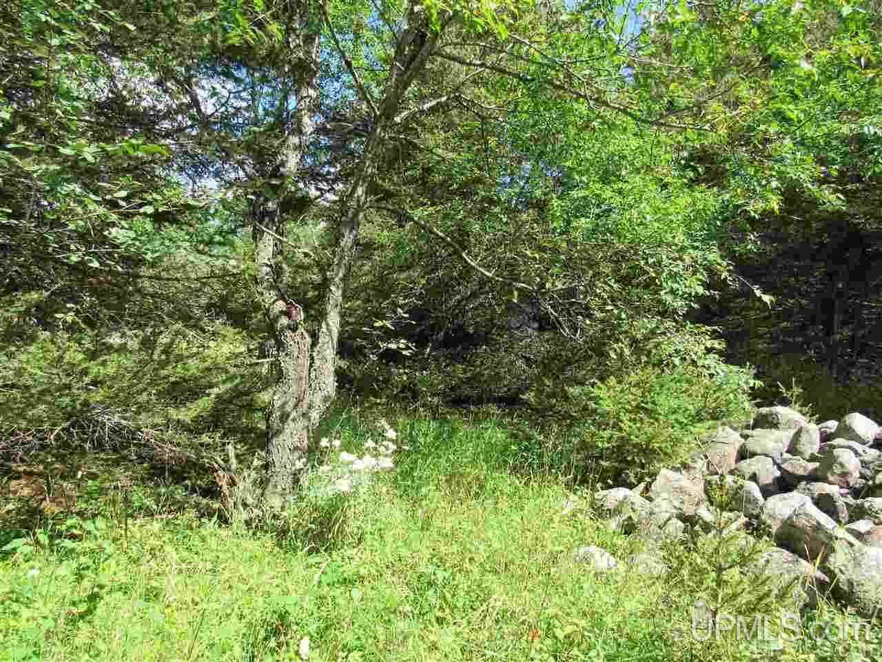 Tbd Tbd Off Stagecoach Road Michigamme, MI 49861 - Photo 24 of 37