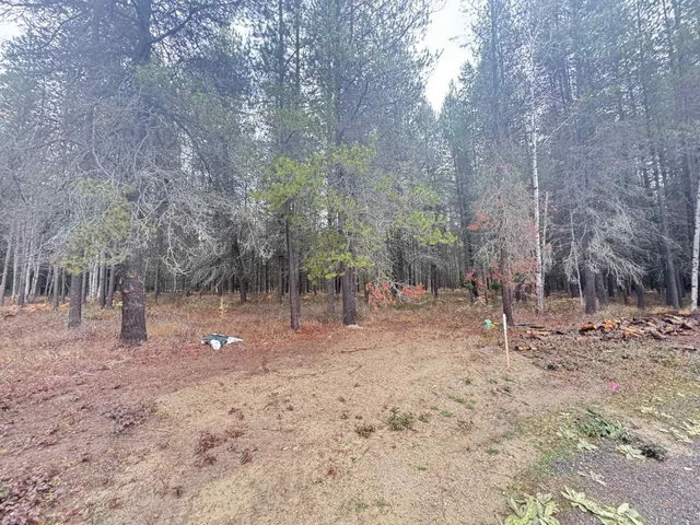 $130,000 | 295 Wilderness Avenue, Cusick, WA 99119