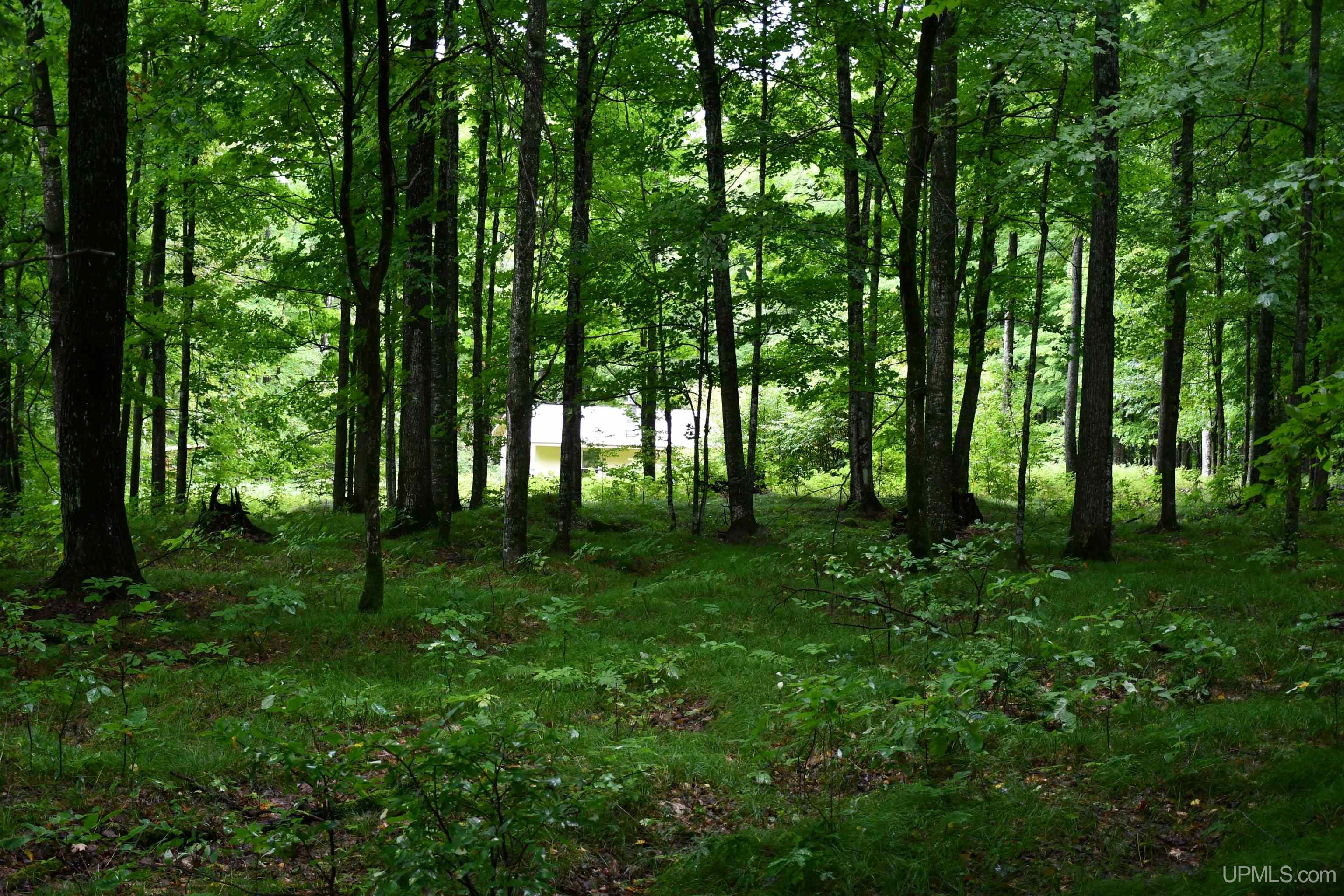 Tbd County Line Road Foster City, MI 49834 - Photo 37 of 56
