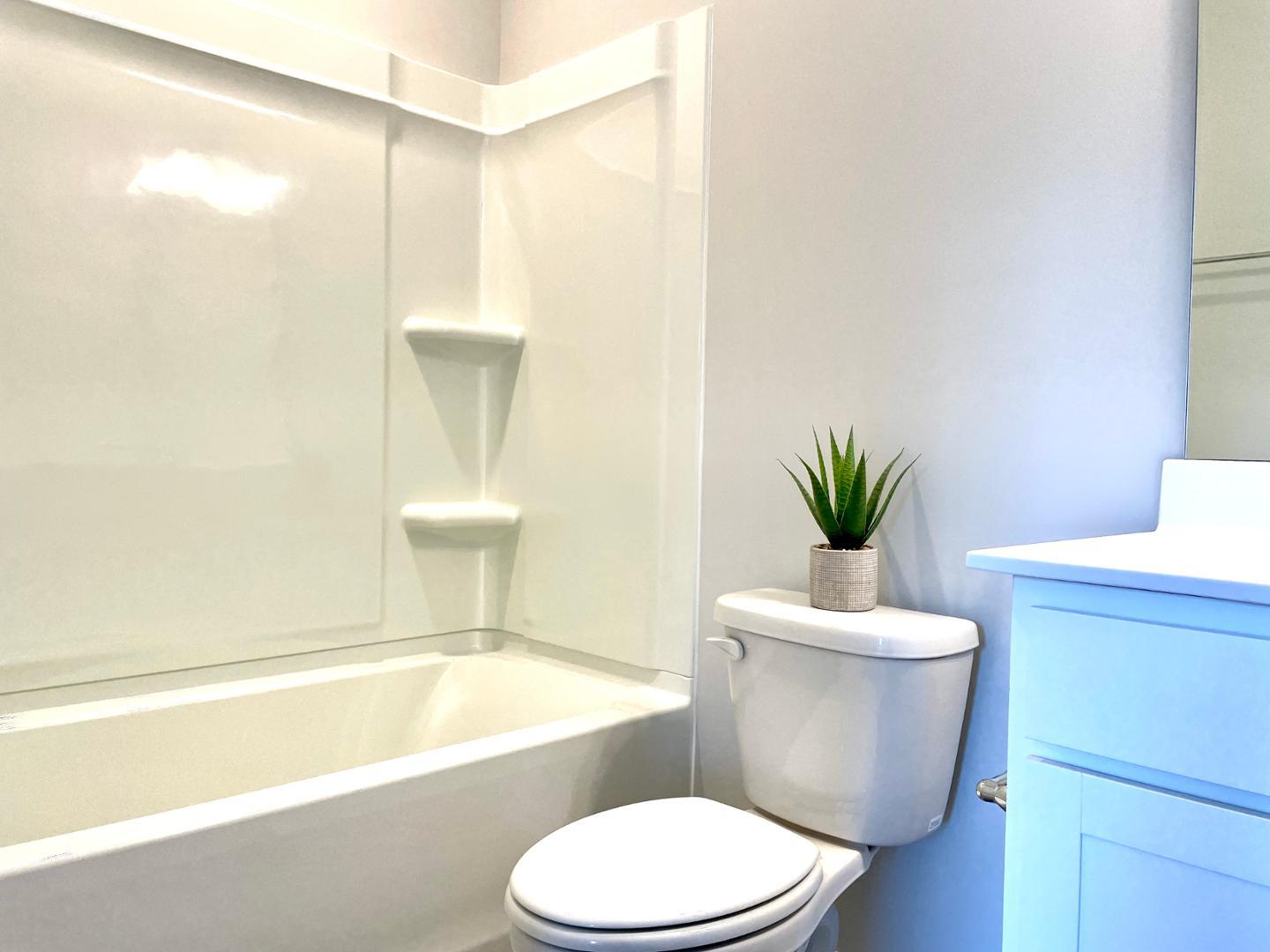 1713 Night Sky Trail Apex, NC 27502 - Photo 11 of 17 Photo #11