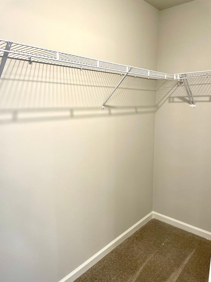 1713 Night Sky Trail Apex, NC 27502 - Photo 8 of 17 Photo #8