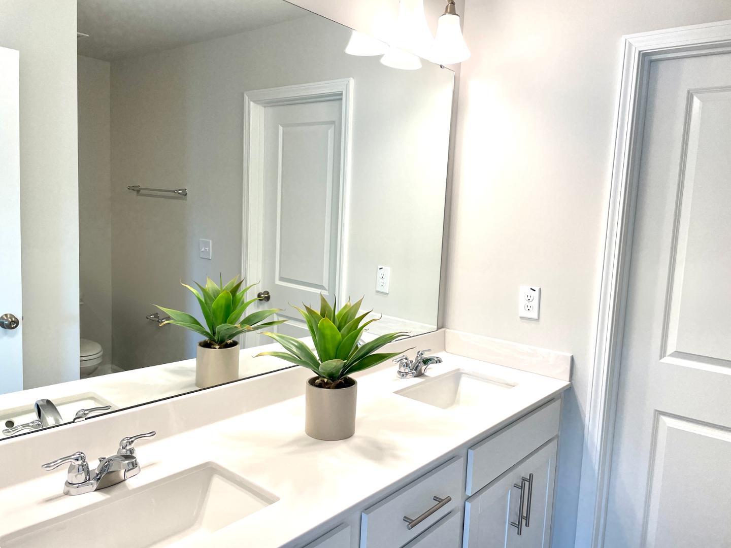 1713 Night Sky Trail Apex, NC 27502 - Photo 9 of 17 Photo #9