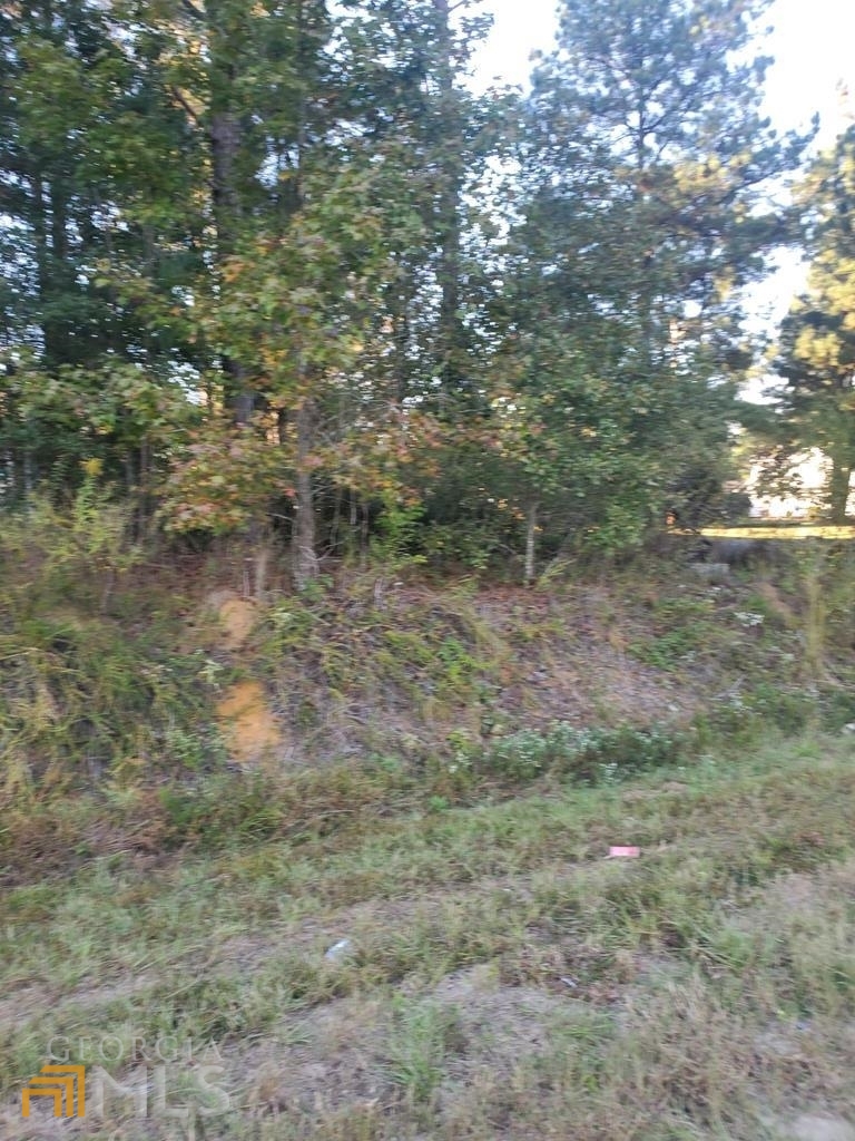 0 Churchwell Road Dublin, GA 31021 - Photo 1 of 1 Gallery Image 1
