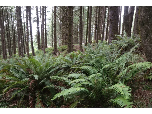 a view of outdoor space with lots of green bushes