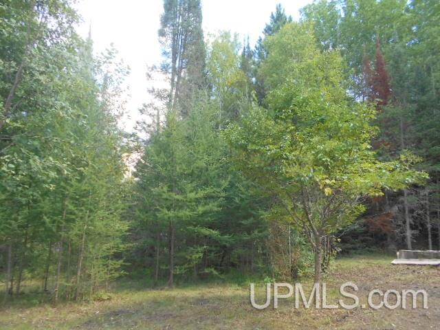 4648 Co Road Florence, WI 54121 - Photo 12 of 13