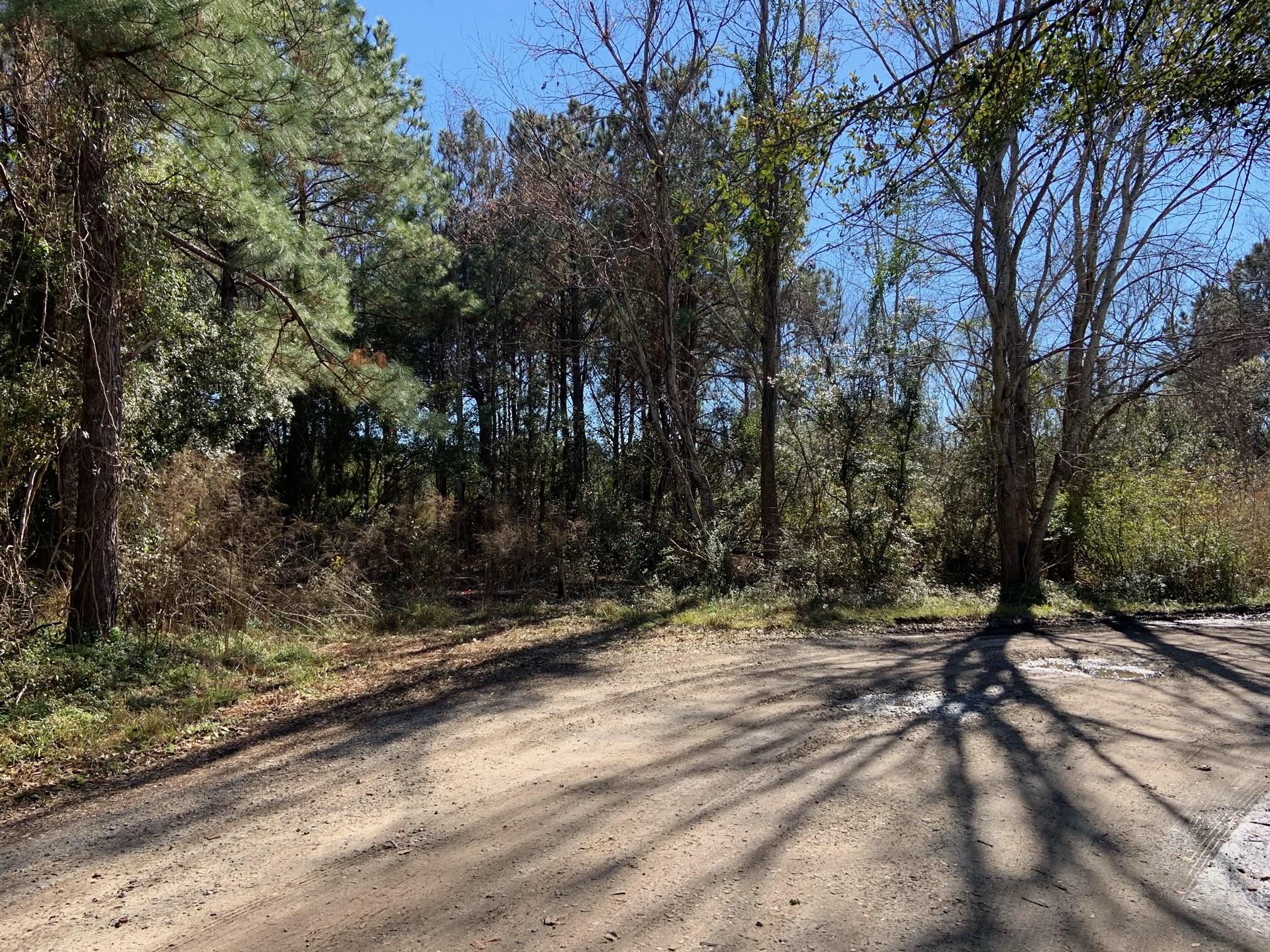 2865 Curry Road Johns Island, SC 29455 - Photo 1 of 2 image1 (1)