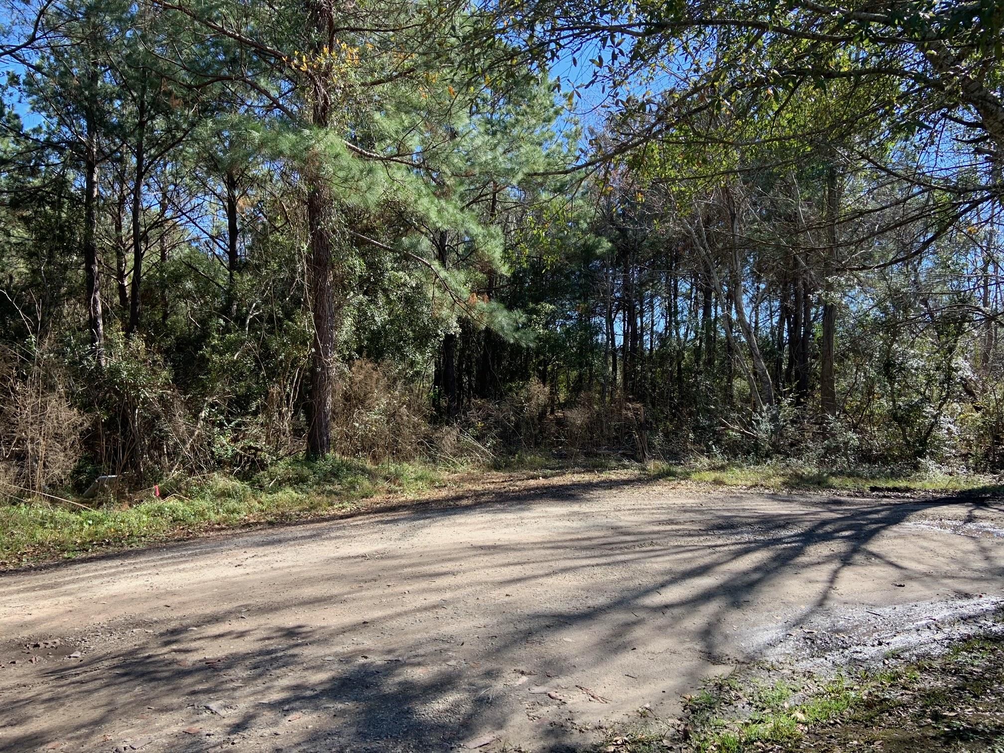 2865 Curry Road Johns Island, SC 29455 - Photo 2 of 2 image2