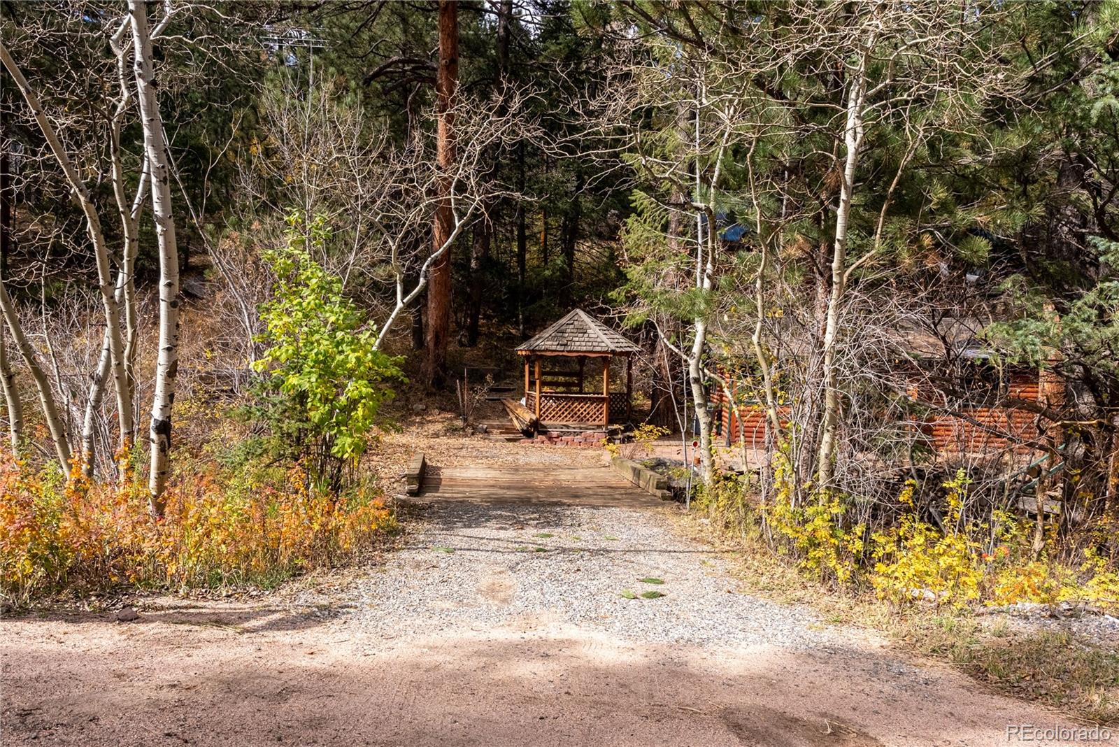 10853 Twin Spruce Road Golden, CO 80403 - Photo 11 of 32 a view of a yard with plants and trees