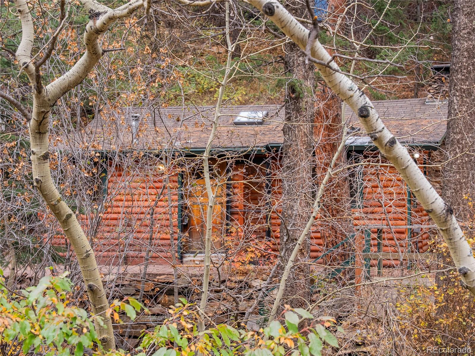 10853 Twin Spruce Road Golden, CO 80403 - Photo 13 of 32