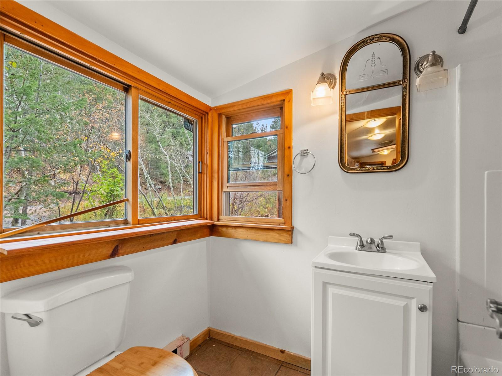 10853 Twin Spruce Road Golden, CO 80403 - Photo 27 of 32 a bathroom with a sink a mirror and a window
