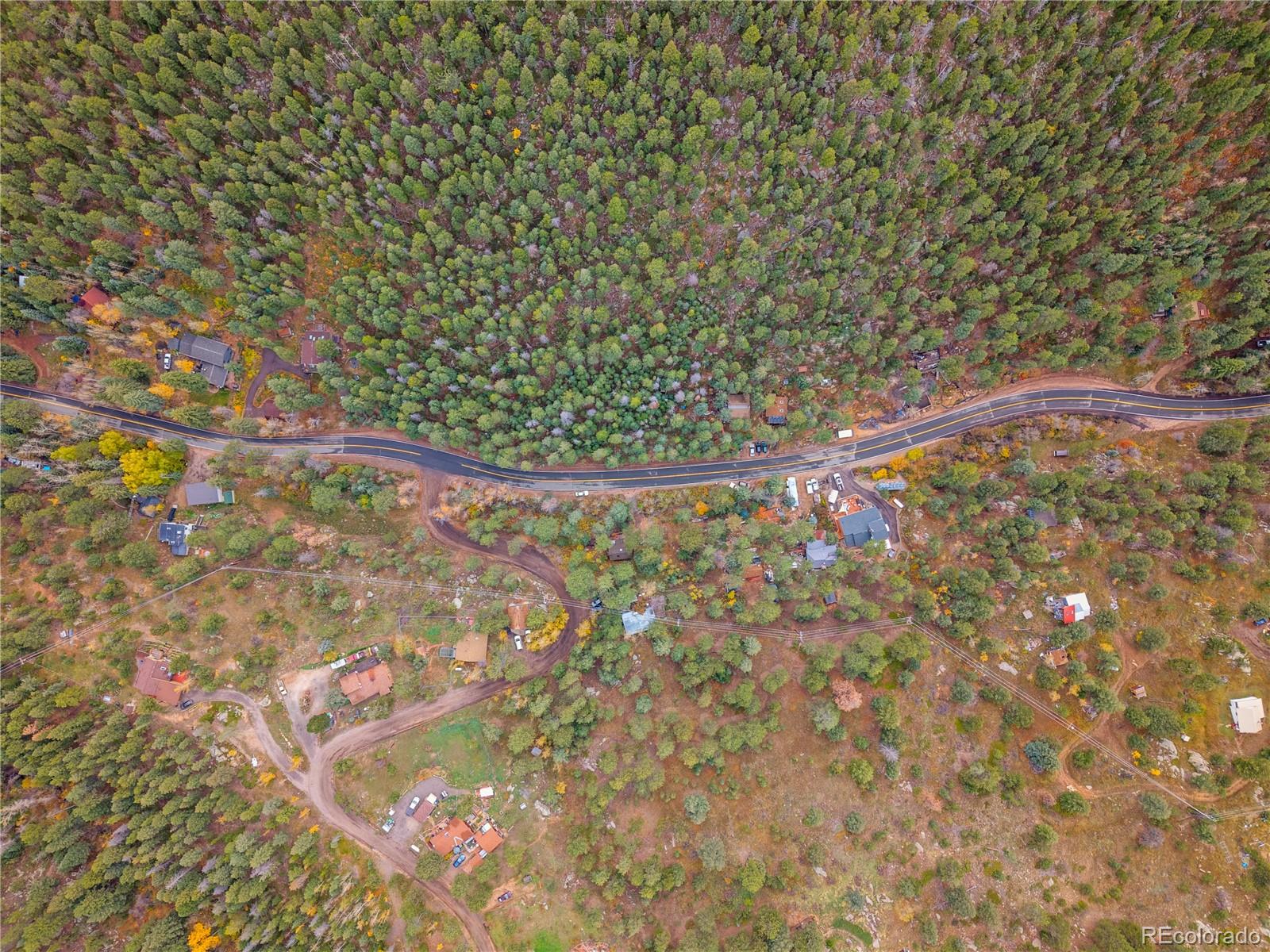 10853 Twin Spruce Road Golden, CO 80403 - Photo 31 of 32 a picture of a tree