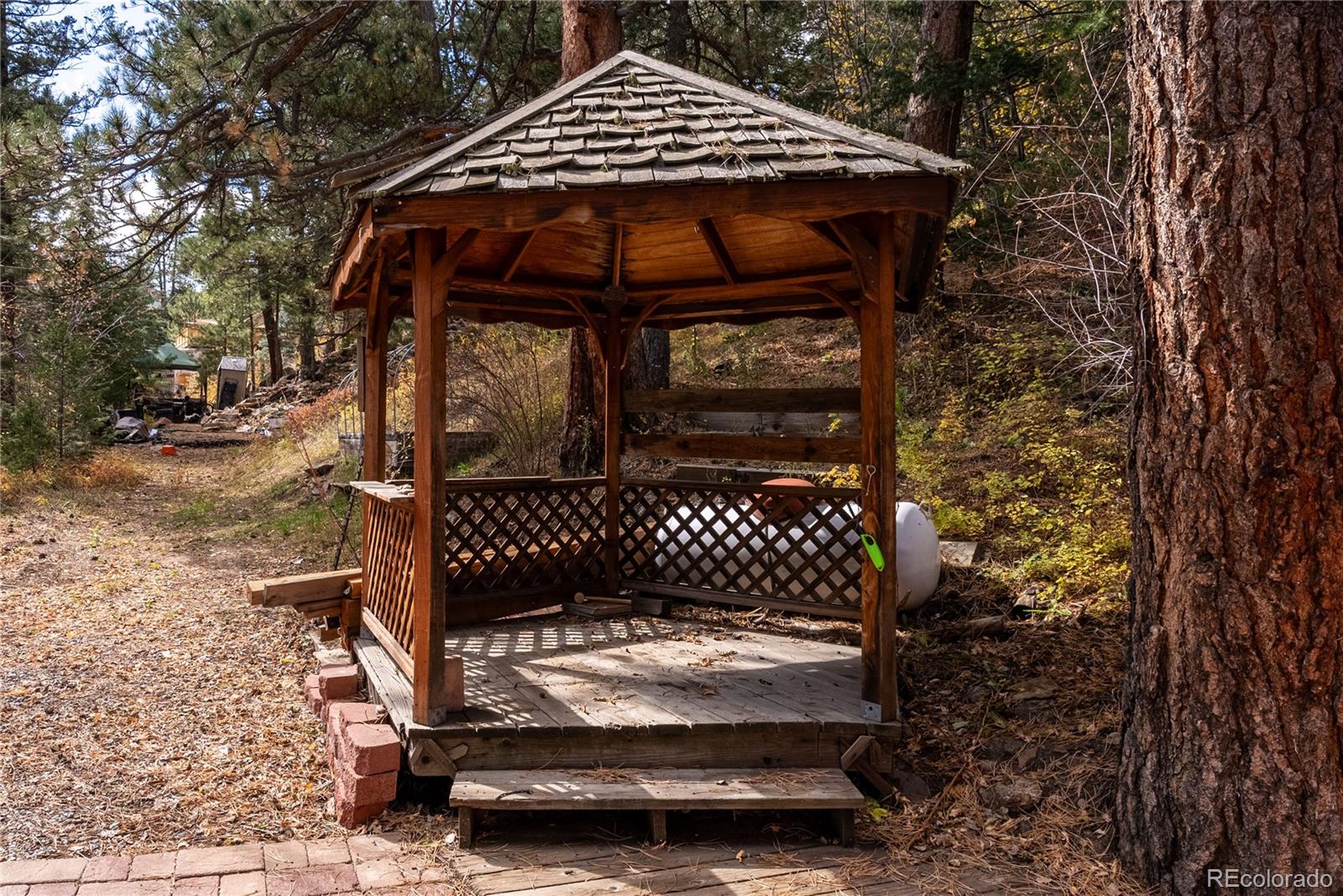 10853 Twin Spruce Road Golden, CO 80403 - Photo 6 of 32 a view of a wooden door of the house