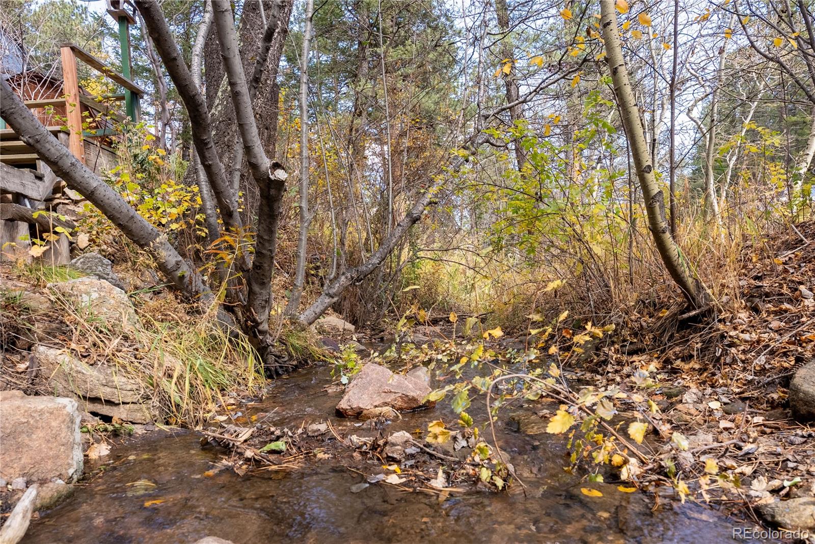 10853 Twin Spruce Road Golden, CO 80403 - Photo 8 of 32