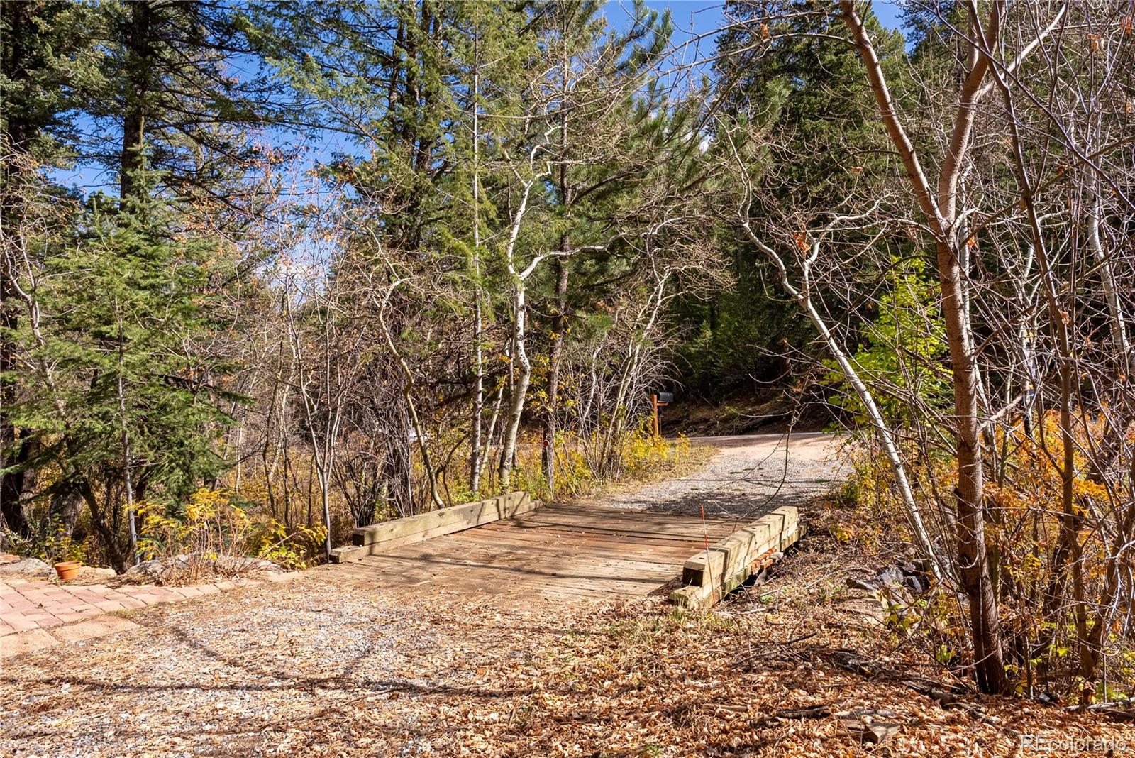 10853 Twin Spruce Road Golden, CO 80403 - Photo 10 of 32 a view of dirt yard with a tree