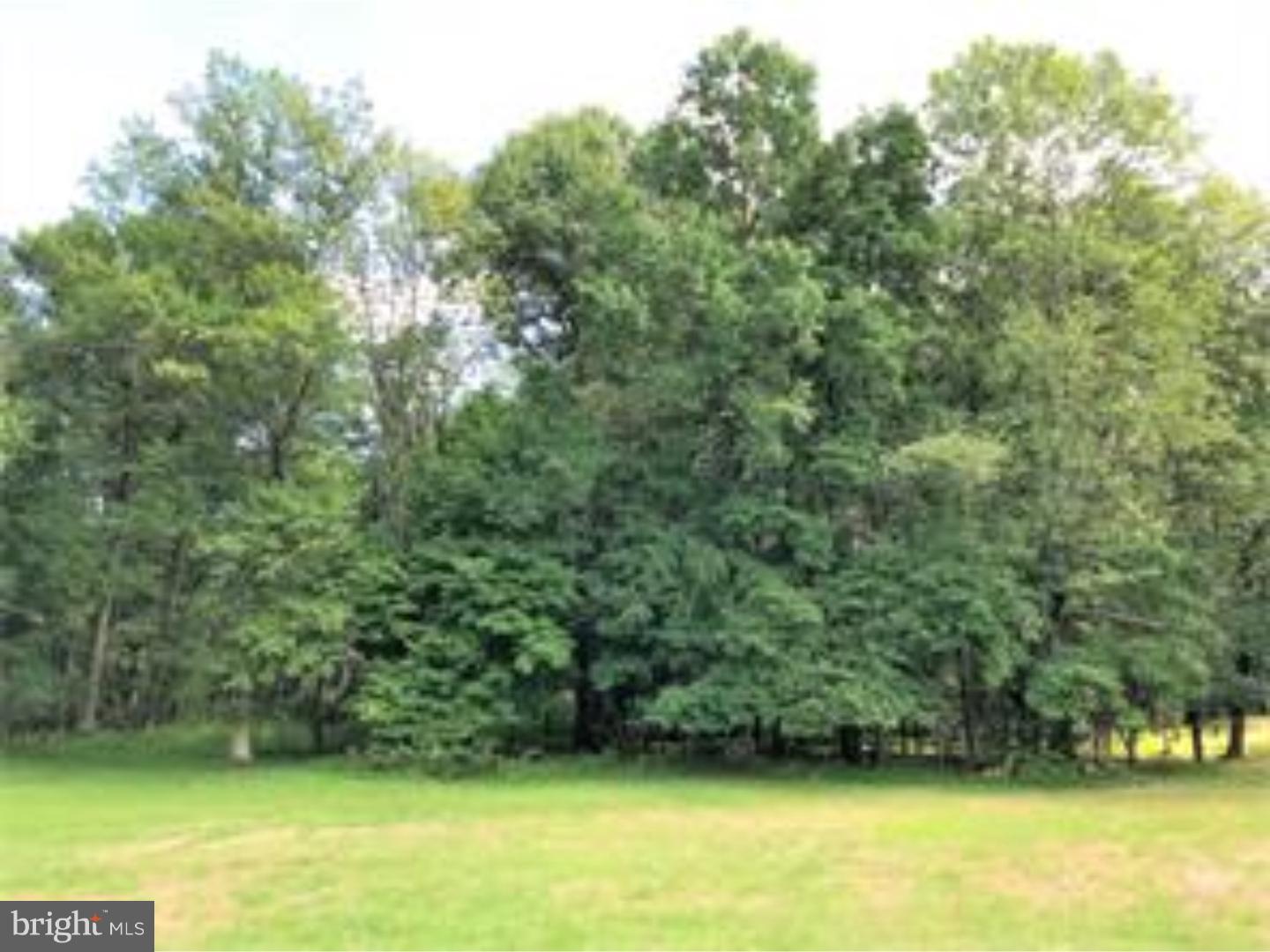 6826 Stump Road Pipersville, PA 18947 - Photo 18 of 24 Gallery Image 18