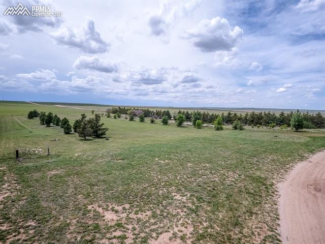 37655 Truckton Road Yoder, CO 80864 - Photo 18 of 27 Green Pastures and Mature Trees and Garden Areas