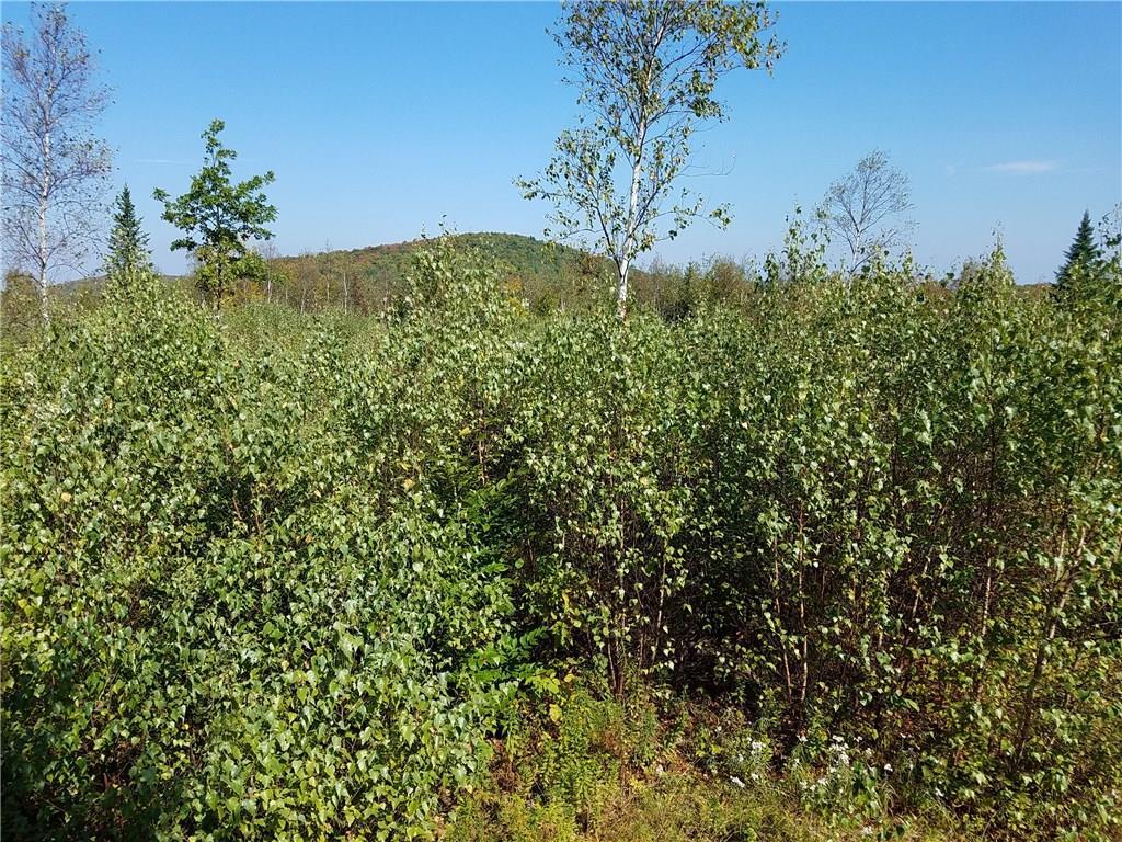 Lot 24 Tower Road Lincoln, MA 01773 - Photo 5 of 7 Land