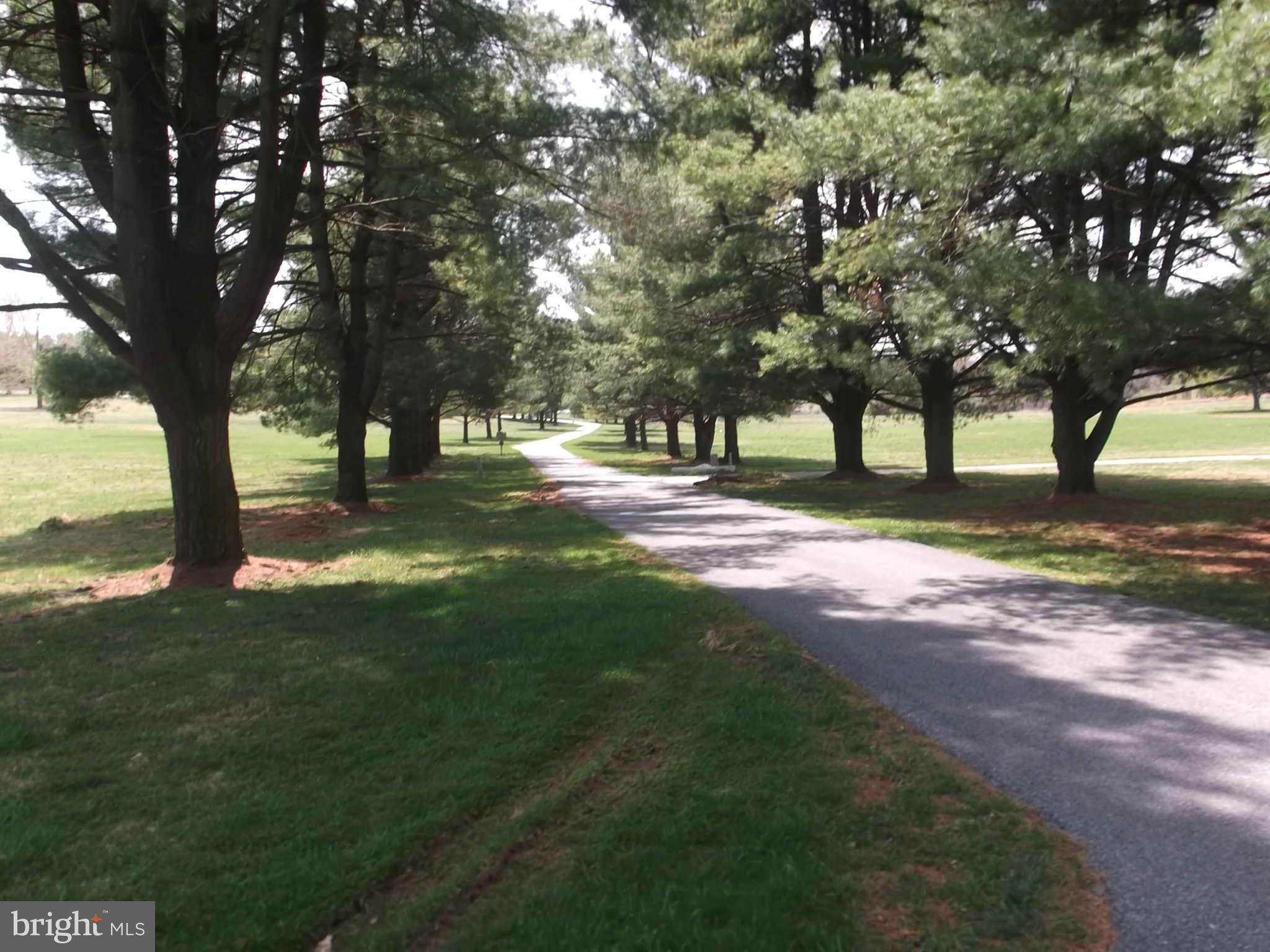 3317 Mt Carmel Road Upperco, MD 21155 - Photo 2 of 21 a view of a yard with a tree