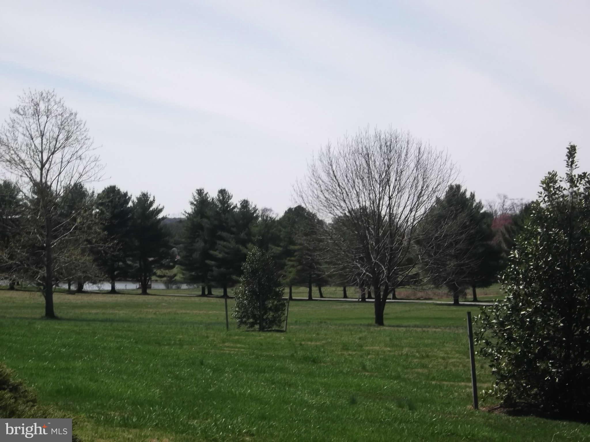 3317 Mt Carmel Road Upperco, MD 21155 - Photo 4 of 21 a view of a park with large trees