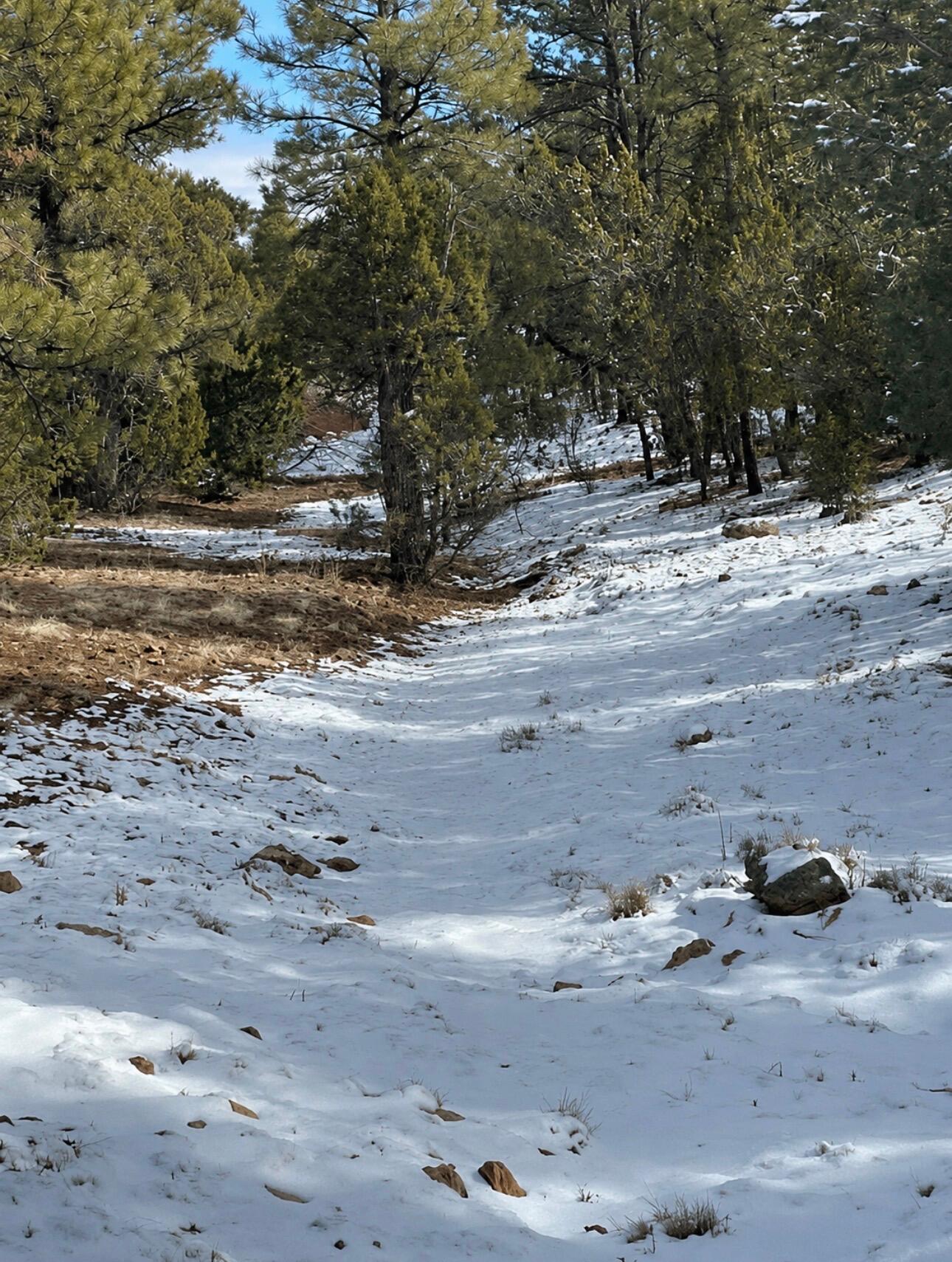 4367 Sunset Ridge Loop Happy Jack, AZ 86024 - Photo 7 of 21 Gallery Image 7