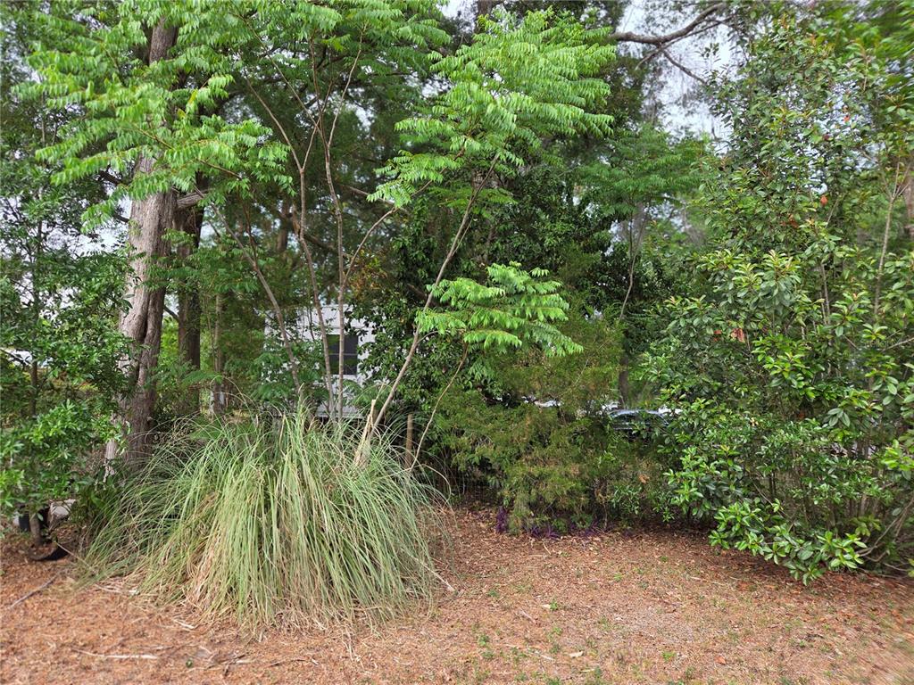 421 Margaret Street Bronson, FL 32621 - Photo 31 of 83