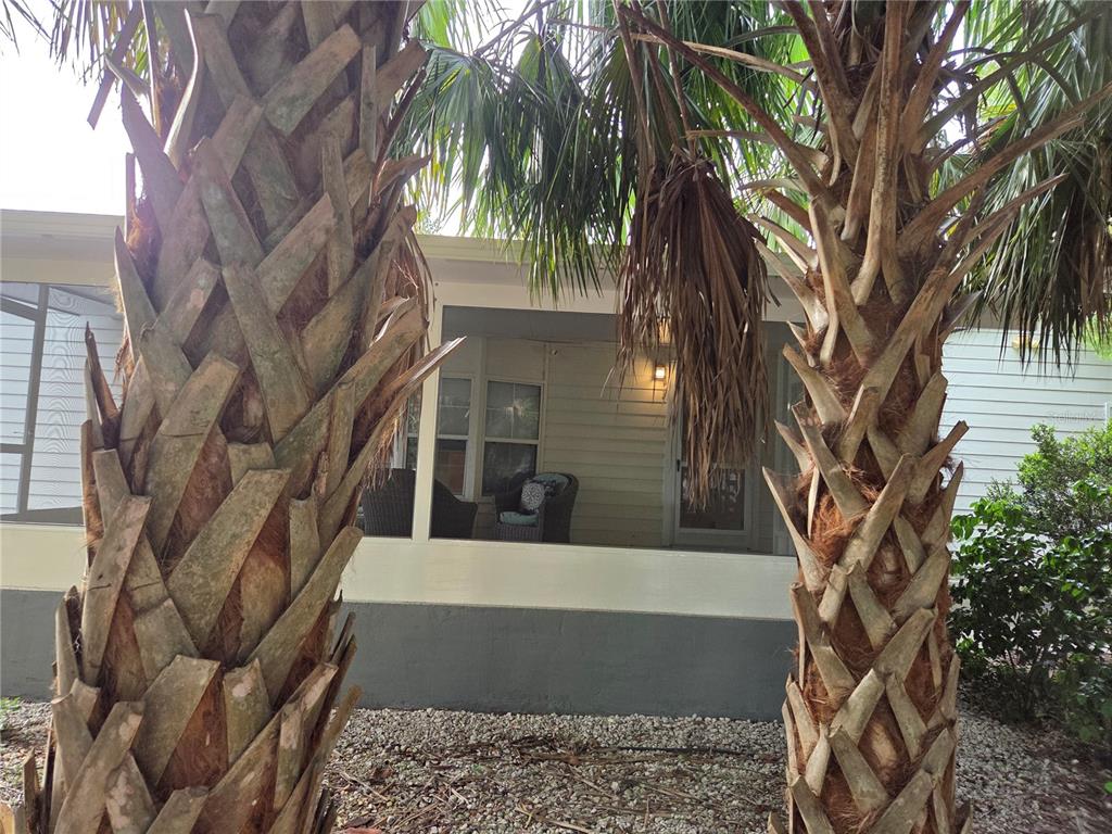 421 Margaret Street Bronson, FL 32621 - Photo 6 of 83