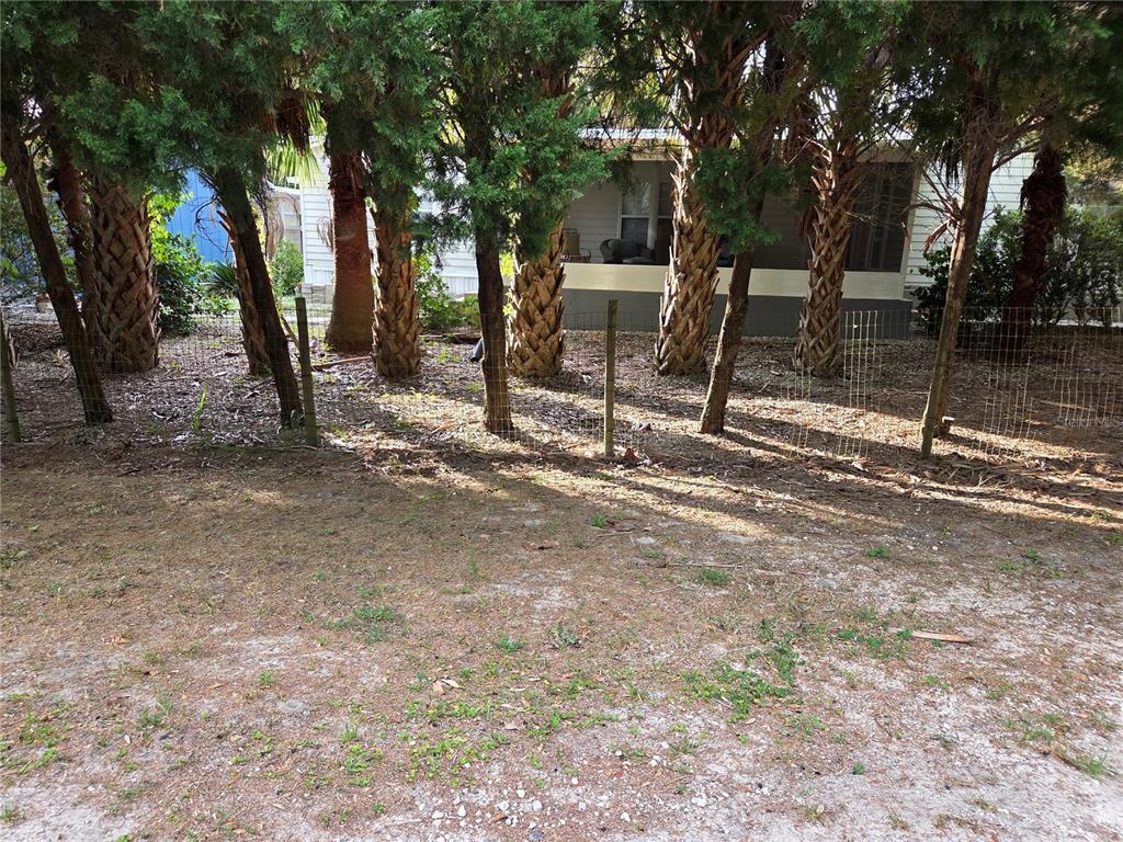 421 Margaret Street Bronson, FL 32621 - Photo 7 of 83