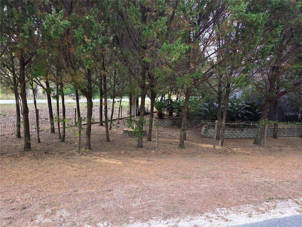 421 Margaret Street Bronson, FL 32621 - Photo 75 of 83