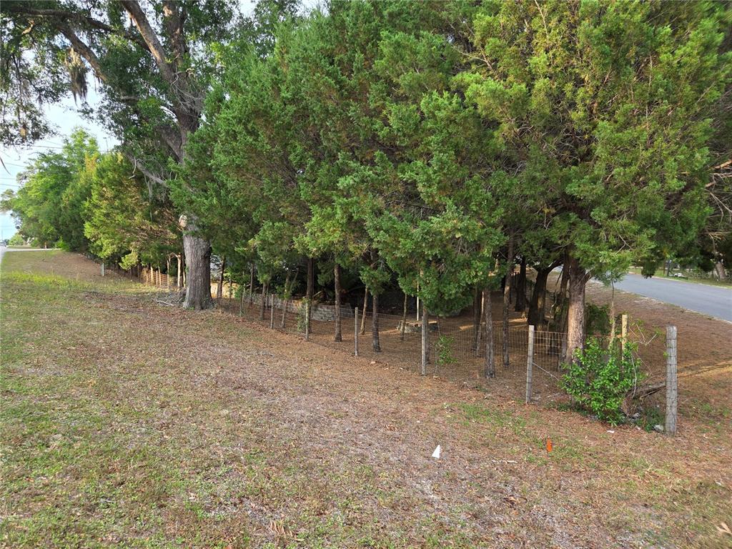421 Margaret Street Bronson, FL 32621 - Photo 77 of 83