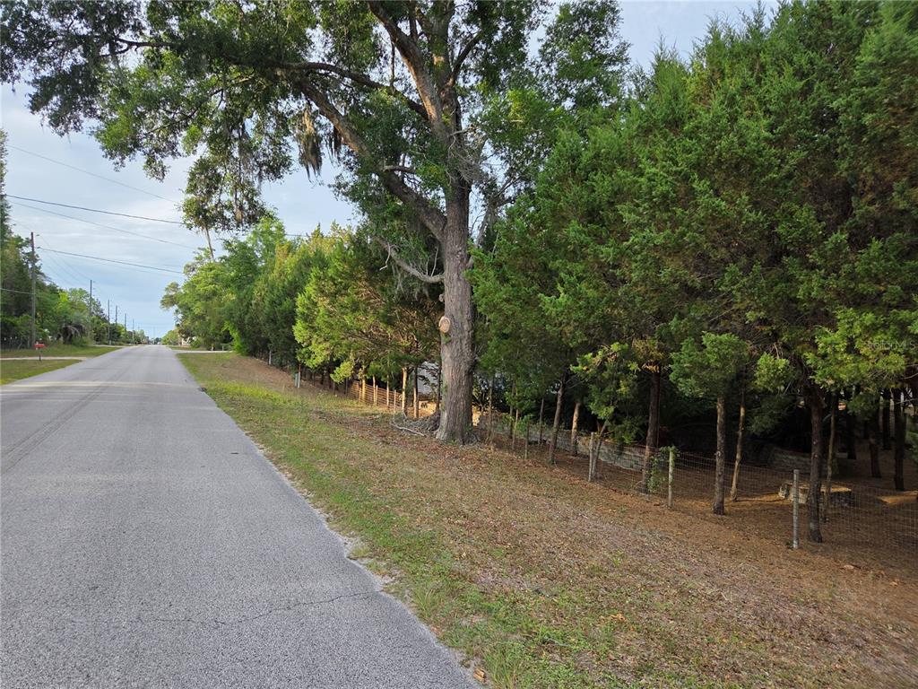 421 Margaret Street Bronson, FL 32621 - Photo 78 of 83