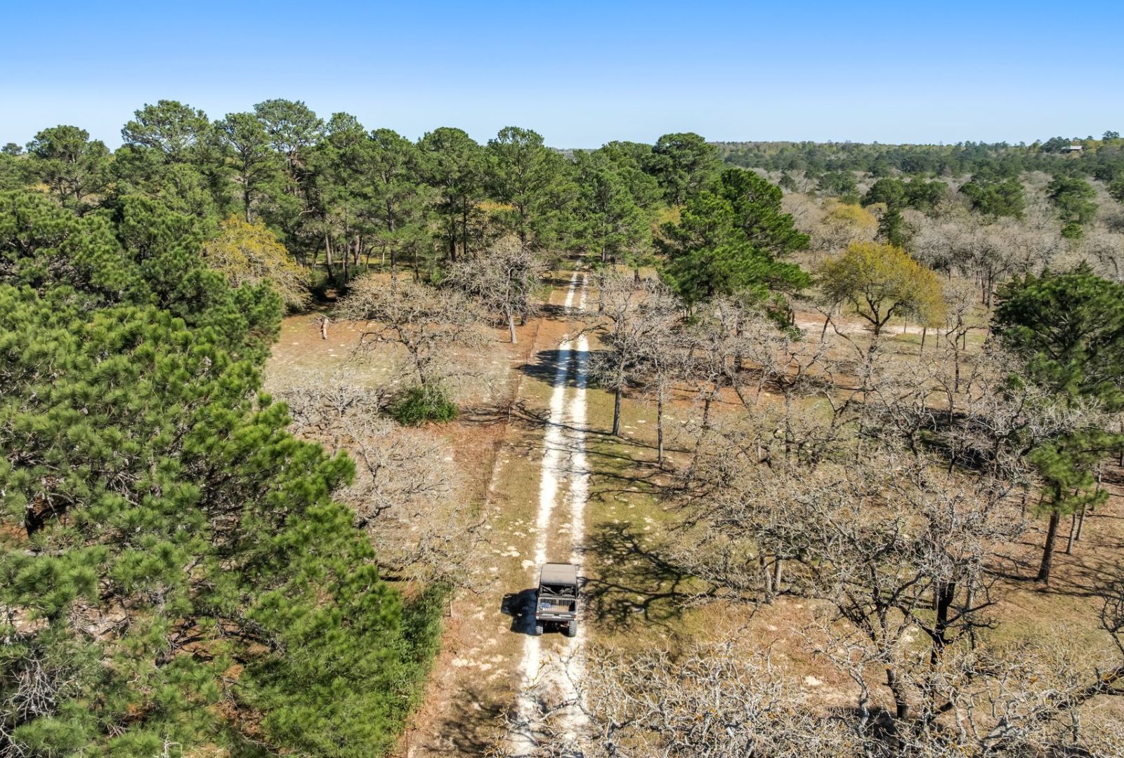 490 John Craft Road Red Rock, TX 78662 - Photo 34 of 40