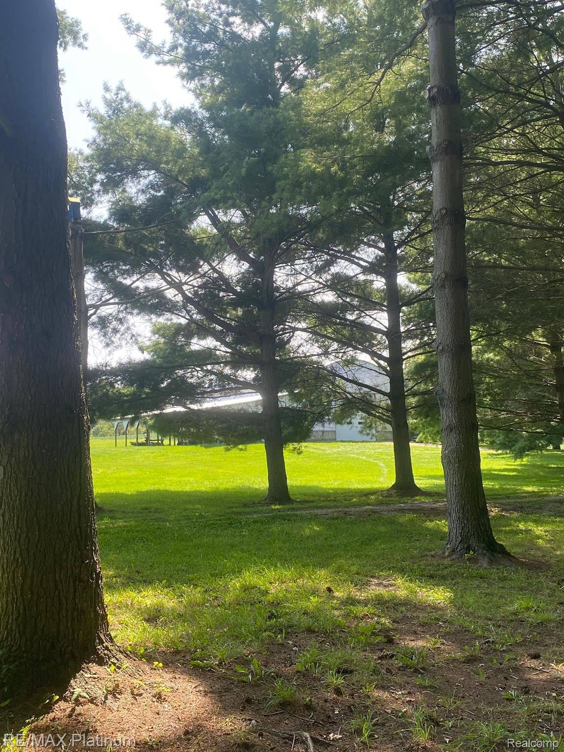 1215 South Bull Run Road Fowlerville, MI 48836 - Photo 55 of 80 White Pines!