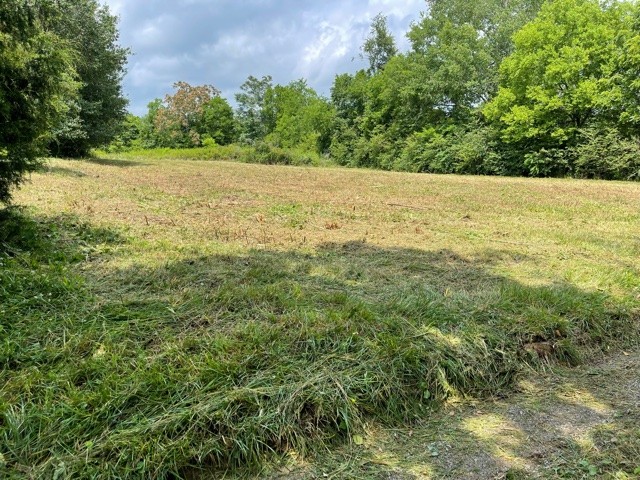 233 Preston Ridge Mulberry, TN 37359 - Photo 4 of 6 a view of an outdoor space and a yard