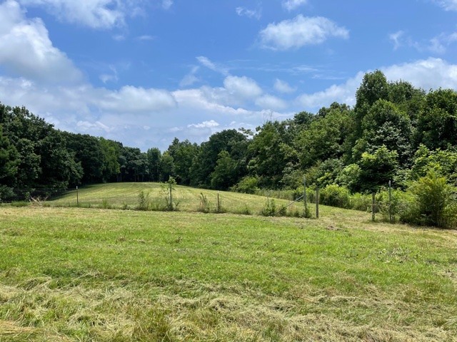 233 Preston Ridge Mulberry, TN 37359 - Photo 6 of 6 a view of an outdoor space and a yard