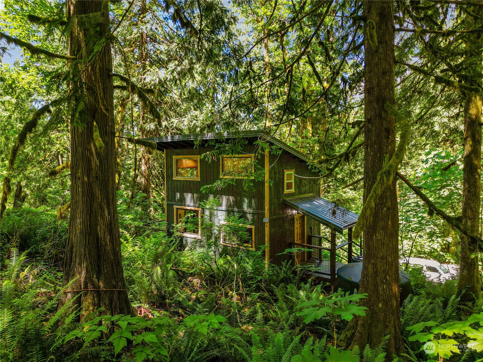51818 South Riverside Road Gold Bar, WA 98251 - Photo 2 of 35 a green field with trees in front of it