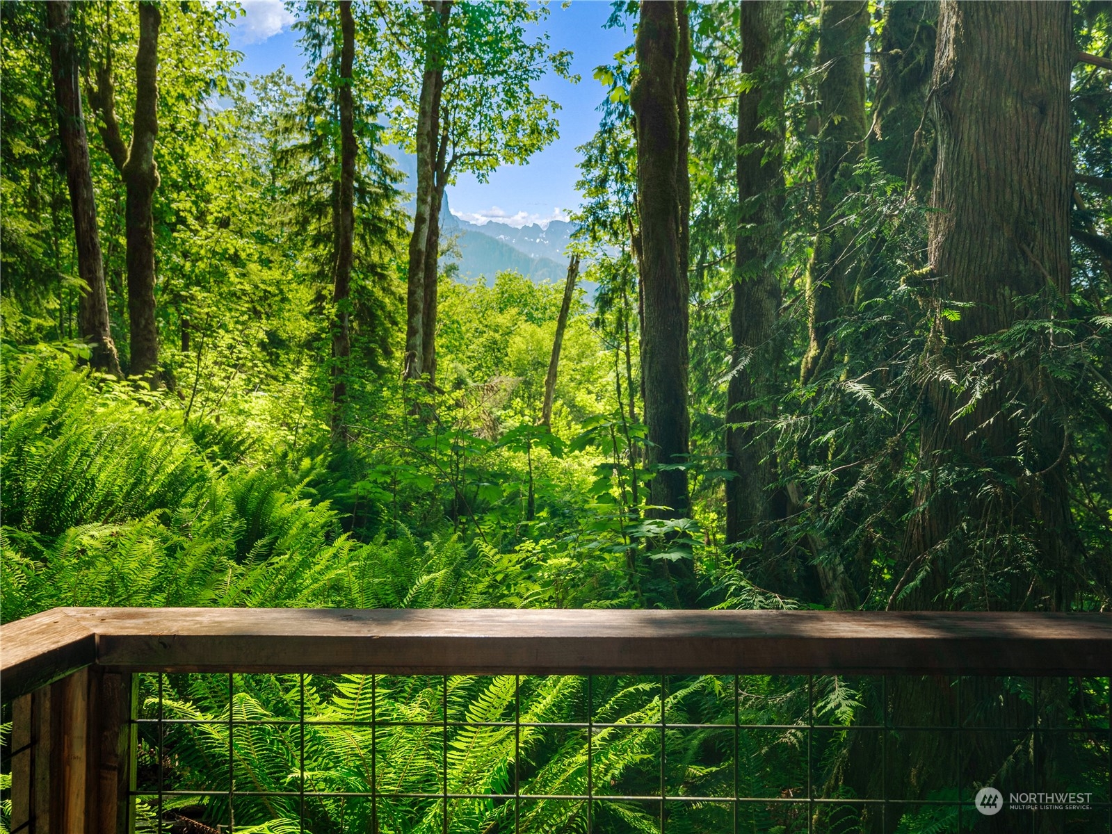 51818 South Riverside Road Gold Bar, WA 98251 - Photo 28 of 35 a view of a garden from a balcony