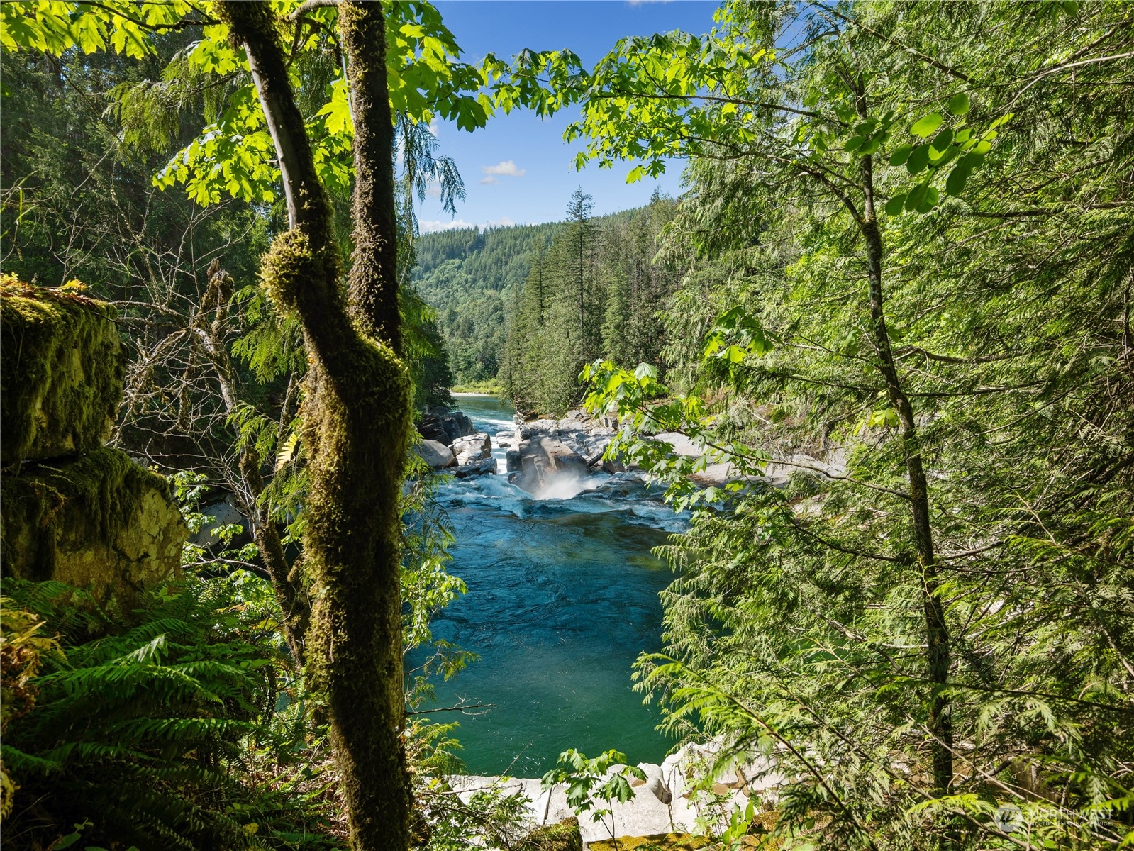 51818 South Riverside Road Gold Bar, WA 98251 - Photo 34 of 35 a view of a garden