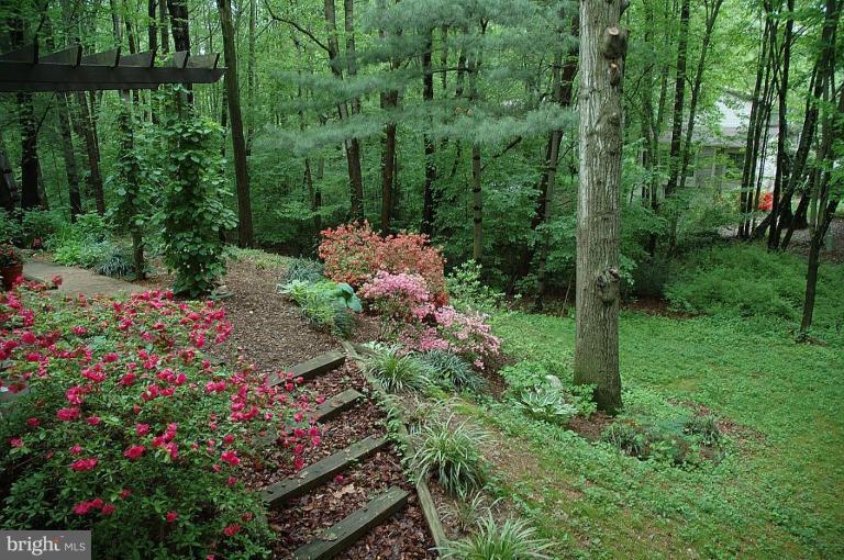 2379 Generation Drive Reston, VA 20191 - Photo 18 of 18 Wooded View / Acreage