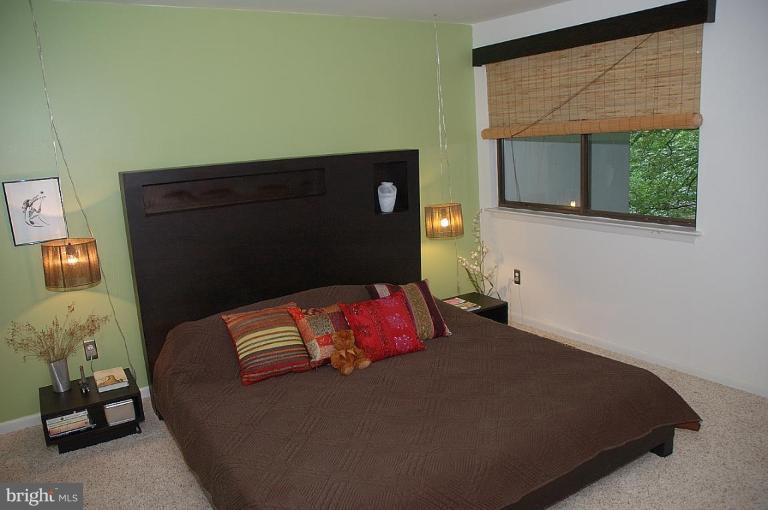 2379 Generation Drive Reston, VA 20191 - Photo 10 of 18 Master Bedroom