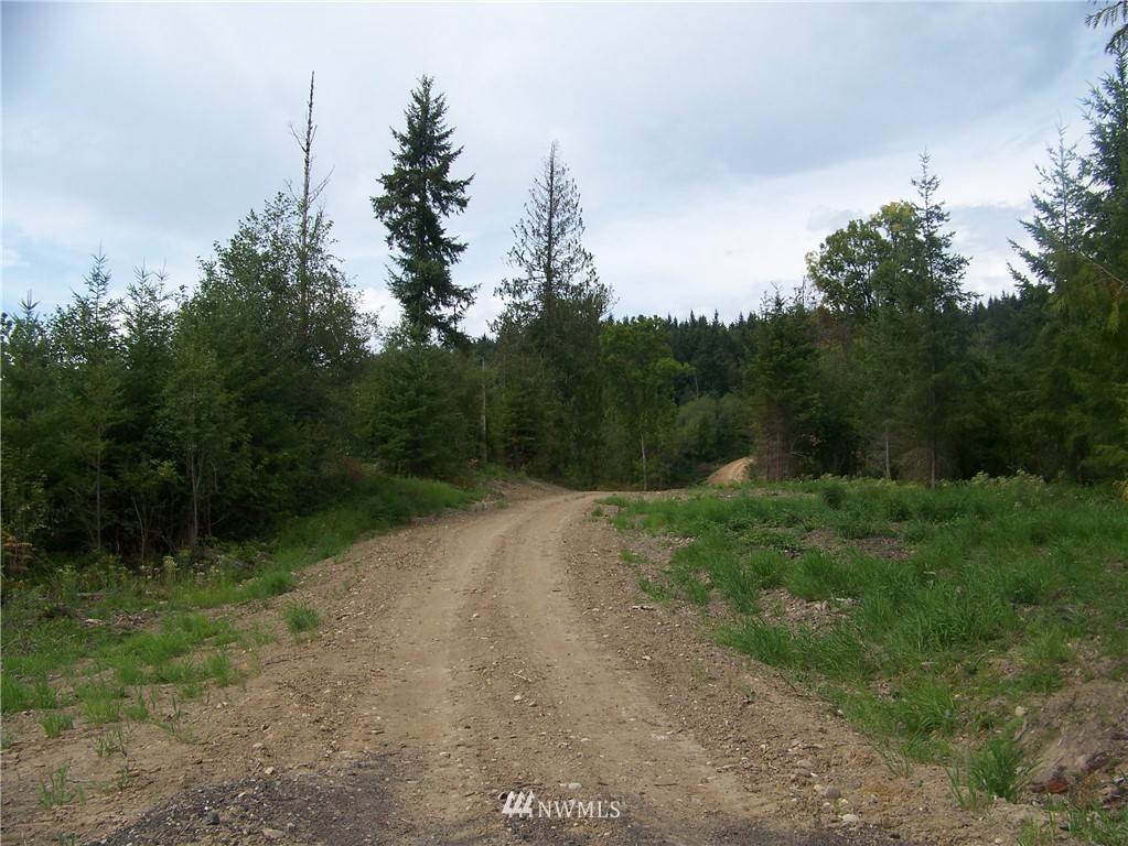 -nna North Fork Road, Unit LOT 2 Chehalis, WA 98532 - Photo 1 of 9