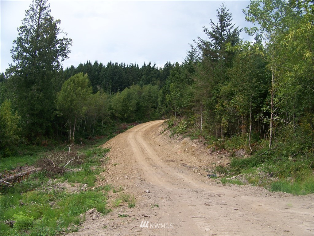 -nna North Fork Road, Unit LOT 2 Chehalis, WA 98532 - Photo 2 of 9