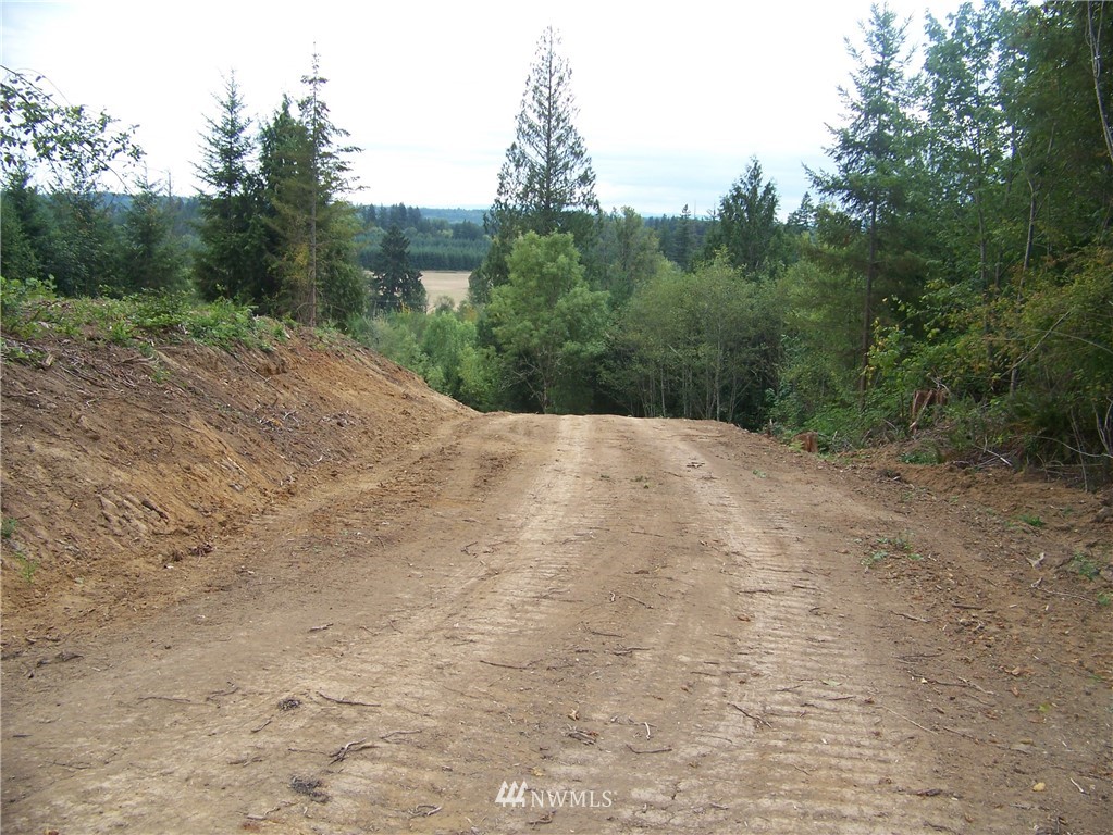 -nna North Fork Road, Unit LOT 2 Chehalis, WA 98532 - Photo 3 of 9
