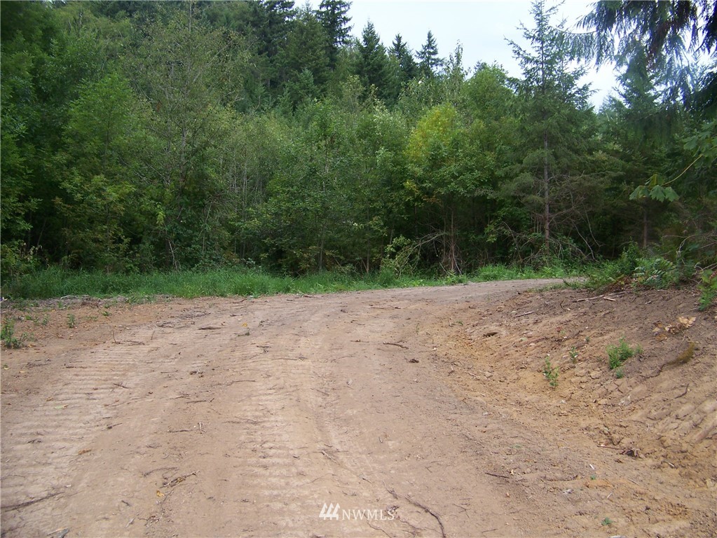 -nna North Fork Road, Unit LOT 2 Chehalis, WA 98532 - Photo 4 of 9