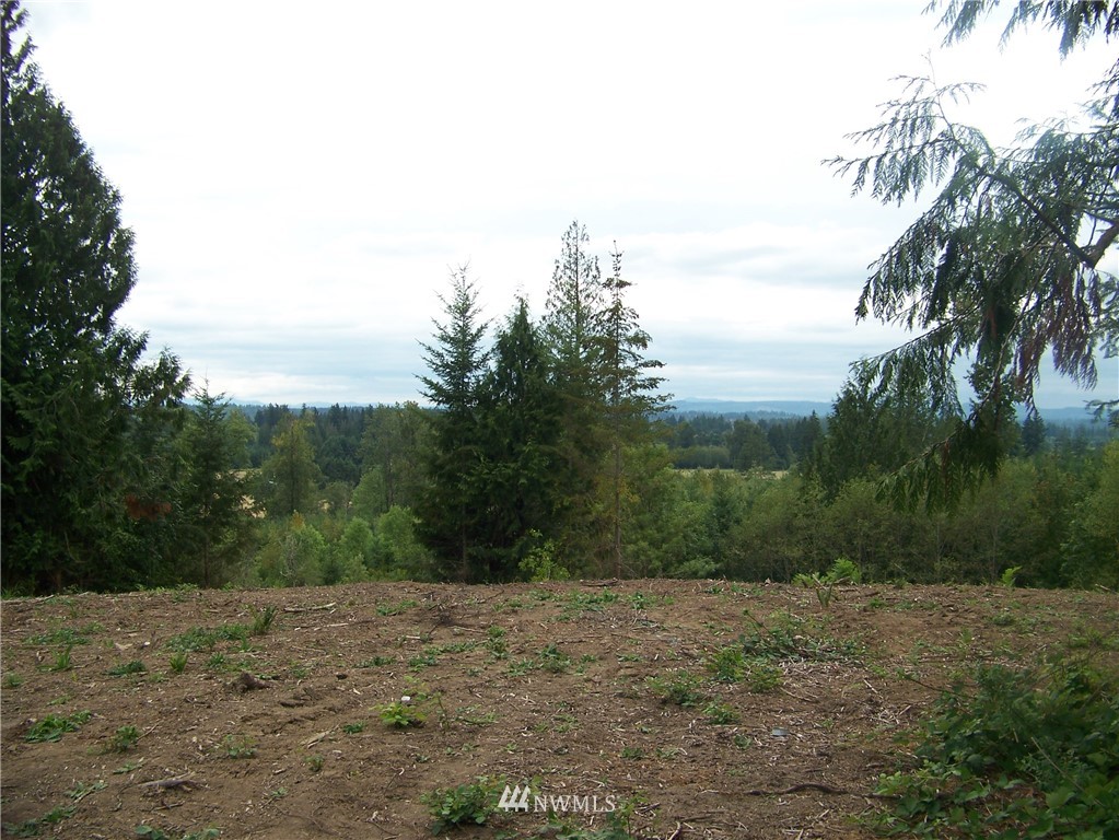 -nna North Fork Road, Unit LOT 2 Chehalis, WA 98532 - Photo 5 of 9