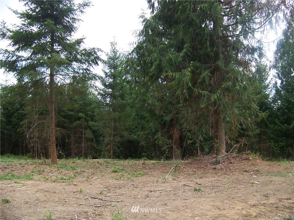 -nna North Fork Road, Unit LOT 2 Chehalis, WA 98532 - Photo 6 of 9