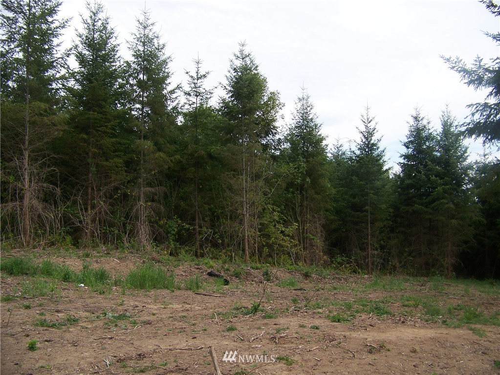 -nna North Fork Road, Unit LOT 2 Chehalis, WA 98532 - Photo 7 of 9